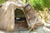 Healing Hut