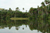 Pirahnas Found Here