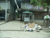 Cleaning Up Manila