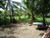Hut´s Backyard in Manila