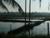 Flooded Terraces