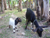 The Lawn-mowers