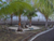 Gardening on the Beach