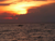 Fishing at Sunset